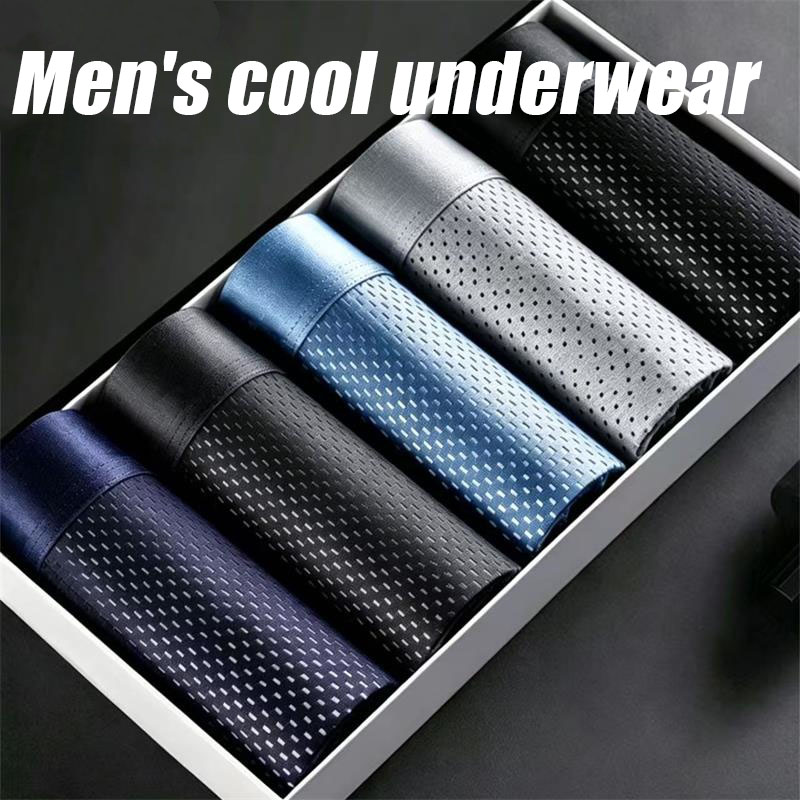 Multi Pack Underwear - 5Pcs/Lot Men's Panties Ice Silk Mesh