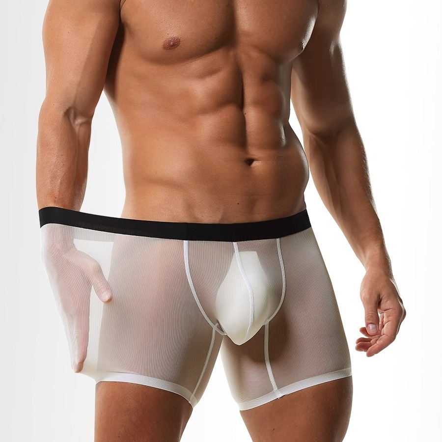Ice Silk Sheer Mesh Long Leg B - Long Leg Trunk Men บทวิจารณ์และราคา