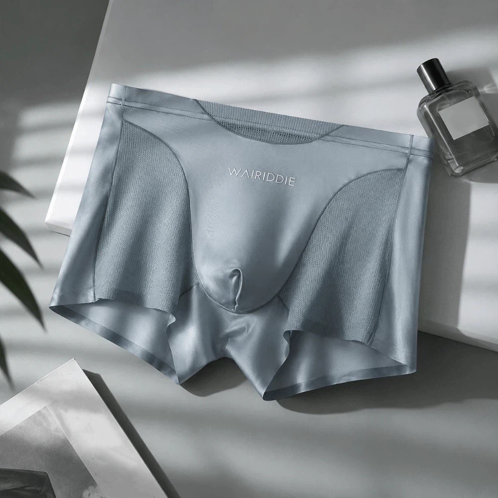 Simple Mesh Ice Silk Underwear - Mesh Sport Boxer บทวิจารณ์และราคา